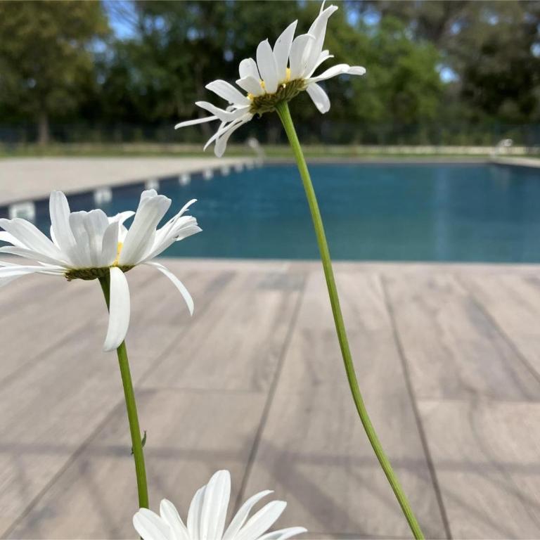 Rez de Jardin T3 recent et calme au Nouvelles Terres à La Londe les Maures - Appartement 2 Chambres - 3