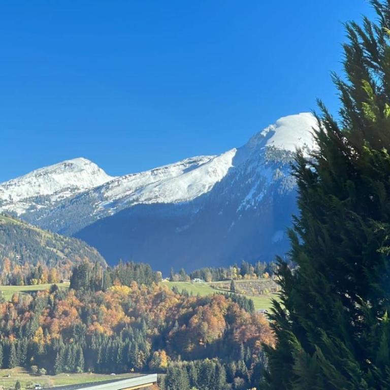 Chalet l'Alisier - Modern chalet, beautiful mountain view, Morzine-Les Gets - Chalet Supérieur - 43