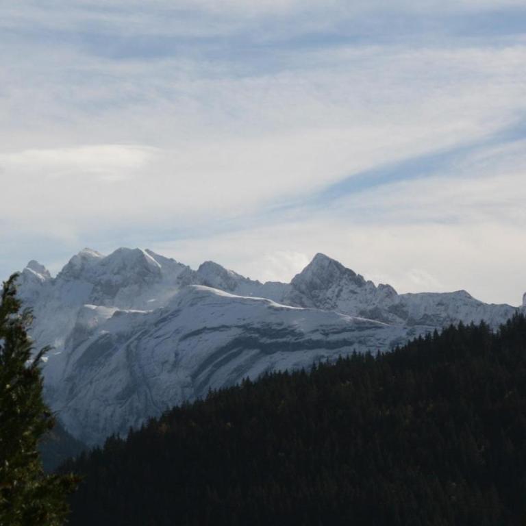 Chalet l'Alisier - Modern chalet, beautiful mountain view, Morzine-Les Gets - Chalet Supérieur - 39