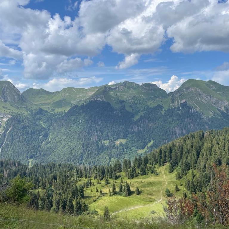 Chalet l'Alisier - Modern chalet, beautiful mountain view, Morzine-Les Gets - Chalet Supérieur - 44