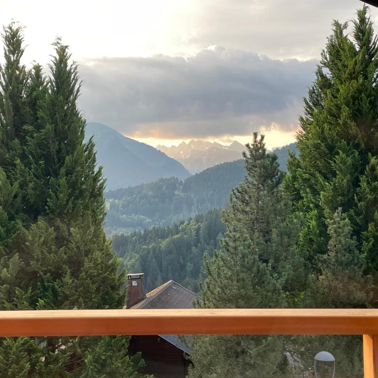 Chalet l'Alisier - Modern chalet, beautiful mountain view, Morzine-Les Gets - Chalet Supérieur - 2