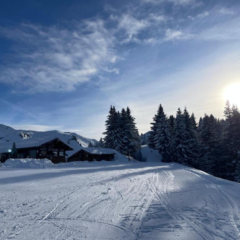 Chalet l'Alisier - Modern chalet, beautiful mountain view, Morzine-Les Gets - Chalet Supérieur - 37