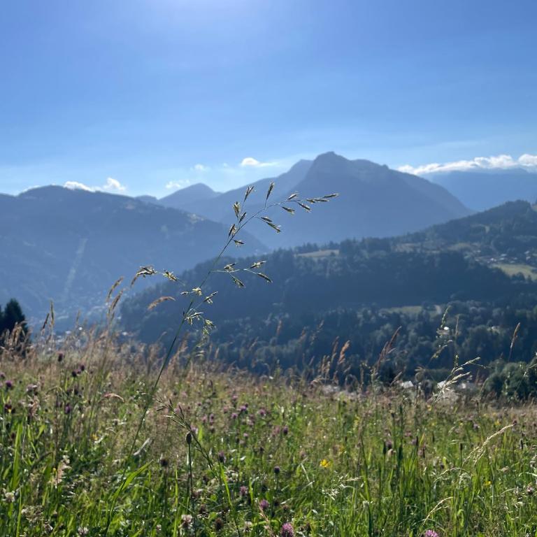 Chalet l'Alisier - Modern chalet, beautiful mountain view, Morzine-Les Gets - Chalet Supérieur - 41