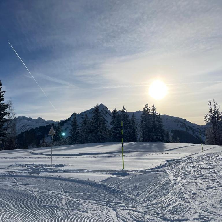Chalet l'Alisier - Modern chalet, beautiful mountain view, Morzine-Les Gets - Chalet Supérieur - 36