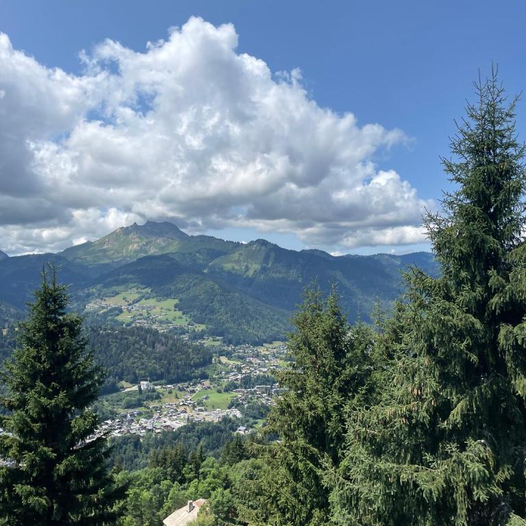 Chalet l'Alisier - Modern chalet, beautiful mountain view, Morzine-Les Gets - Chalet Supérieur - 46