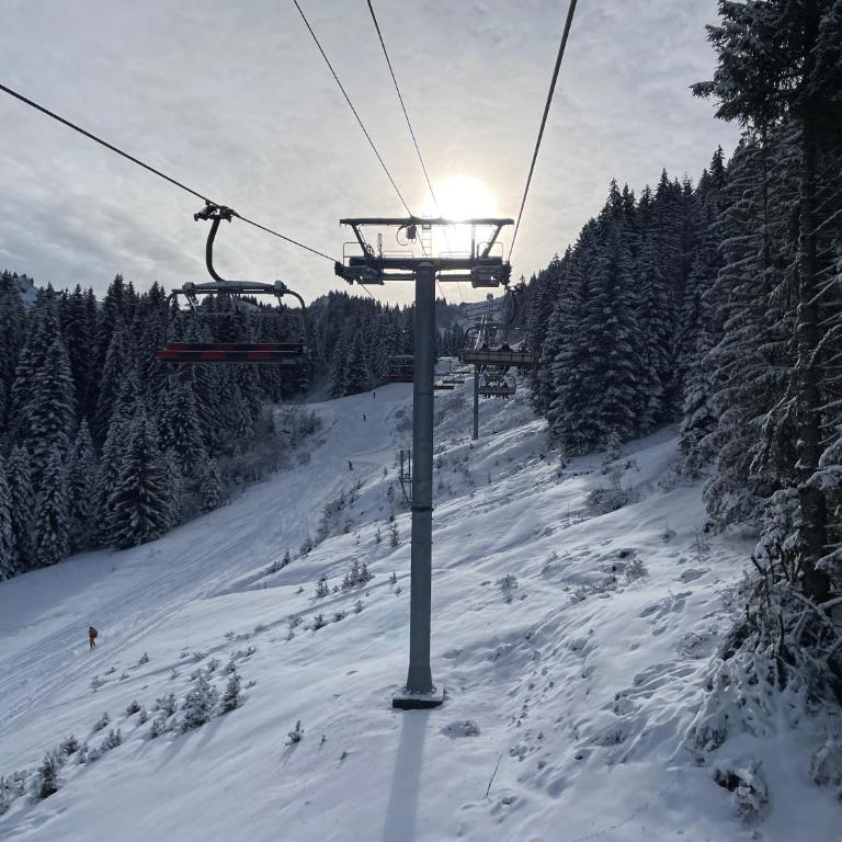 Chalet l'Alisier - Modern chalet, beautiful mountain view, Morzine-Les Gets - Chalet Supérieur - 35
