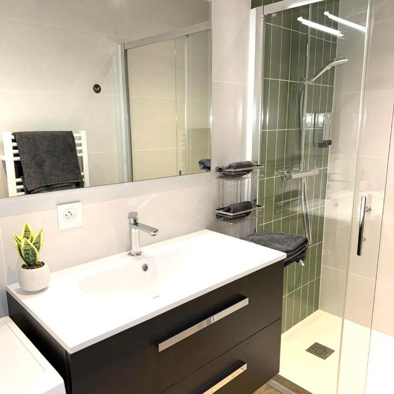 Bel appartement et place de parking au coeur d'Annecy - Apartment mit 2 Schlafzimmern - 10