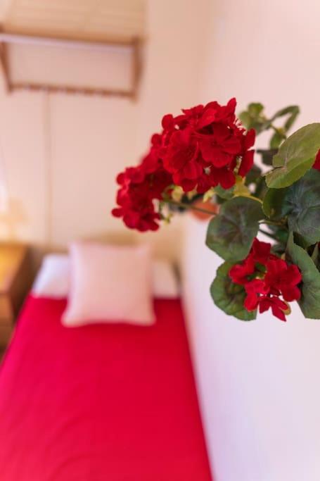 3 Bedrooms City Center and Beach - Apartamento de 3 dormitorios - 24
