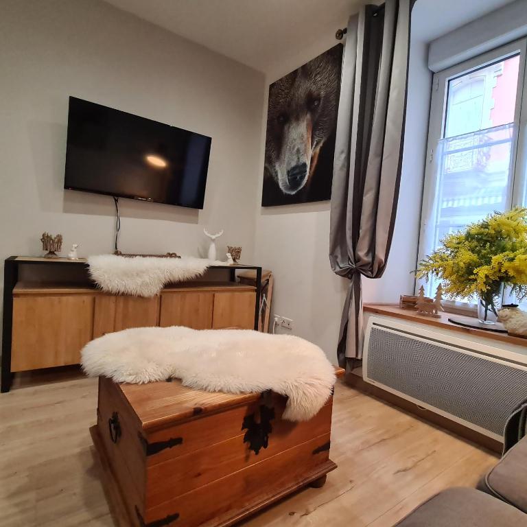 Appartement César de standing plein centre - Appartamento con 2 Camere da Letto - 8