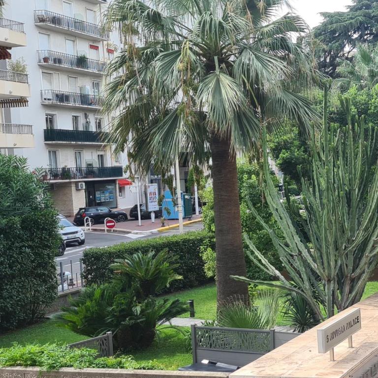 Le Ptit Ecrin du Lerins - Apartamento de 1 dormitorio - 51