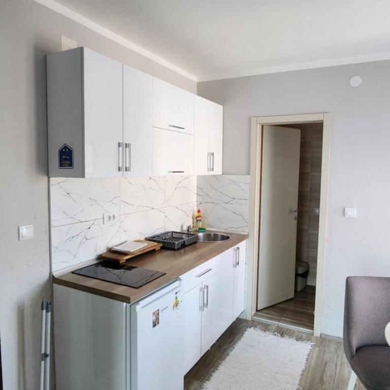 Apartmani Đorđević - Studio sa Terasom - 15