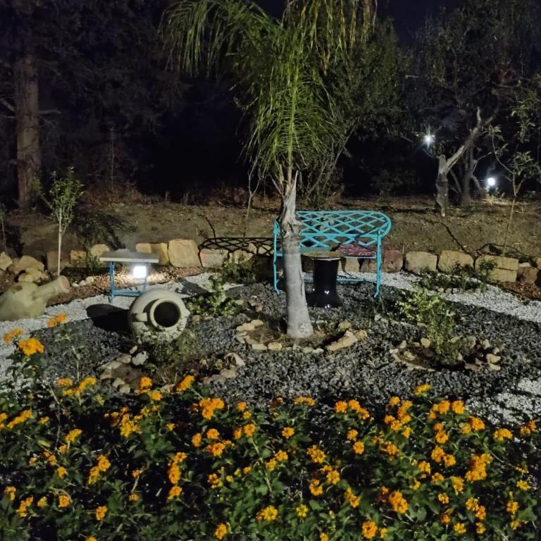 La Villa di Minerva - Villa - 18