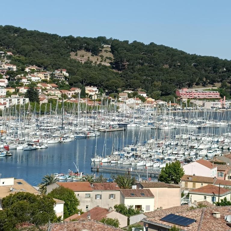 Vue magnifique sur le port appartement 80m2 piscine tennis parking climatisation - Apartamento de 2 dormitorios - 27