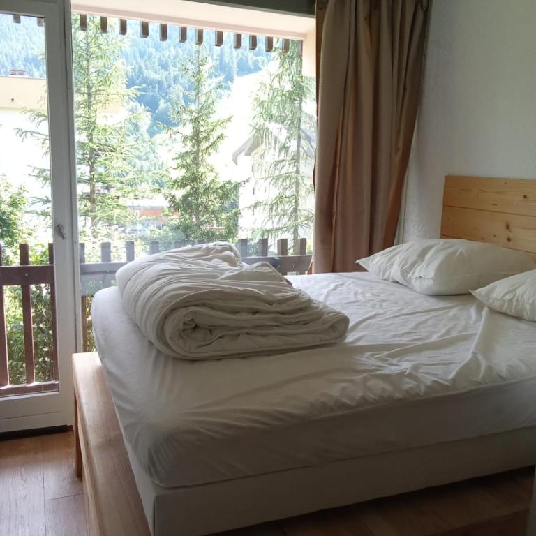 L’ALPIN AU PIED DES PISTES ET COMMERCES - Appartement 1 Chambre - 8