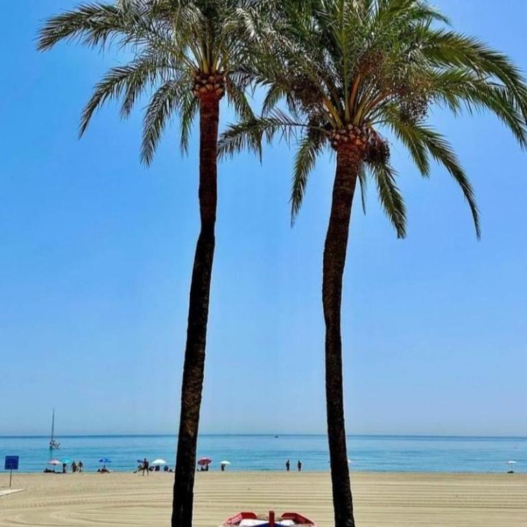 Apartment Duquesa Fairways/Manilva, Spain - Apartamento de 2 dormitorios - 18
