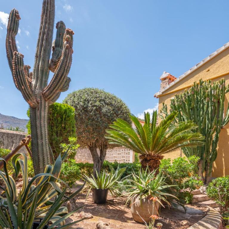 Villa with private pool and tennis court 150 metres from the sea-Villa el Olivo - Villa - 70