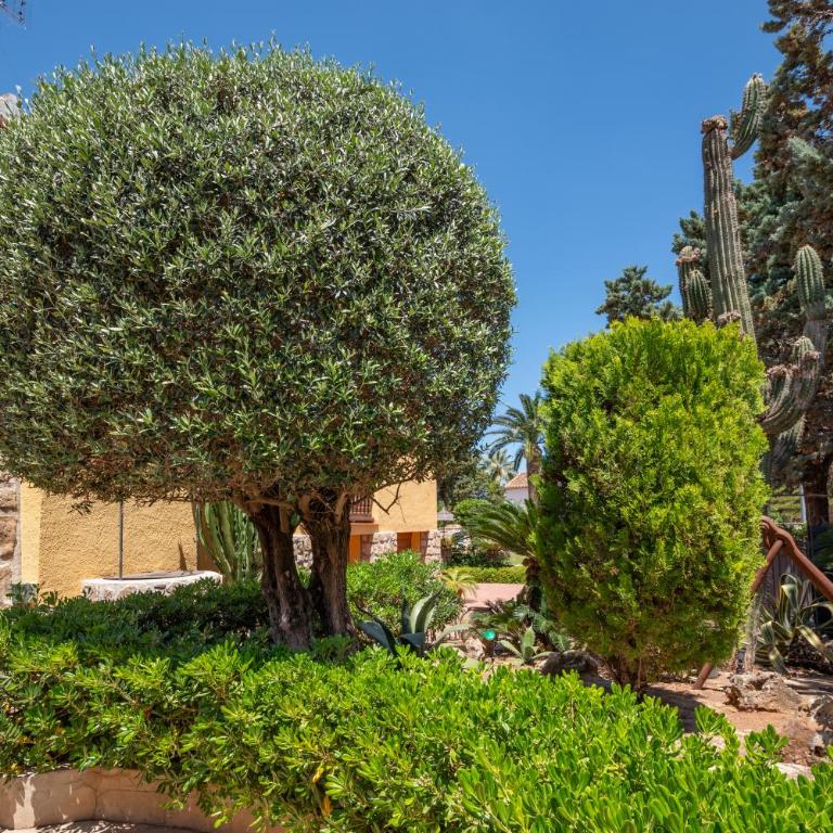 Villa with private pool and tennis court 150 metres from the sea-Villa el Olivo - Villa - 69
