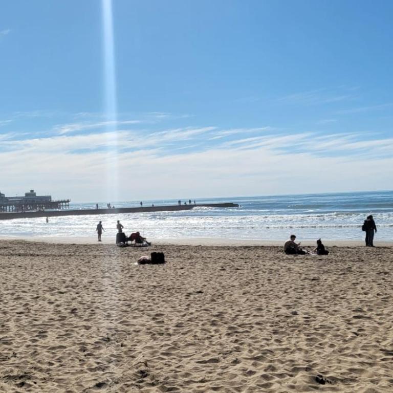 Mar del Plata Place - Apartamento de 1 dormitorio - 18