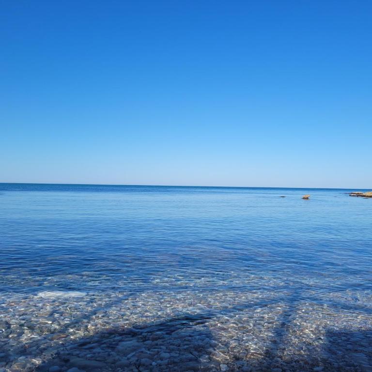 Villa with private pool and tennis court 150 metres from the sea-Villa el Olivo - Villa - 83
