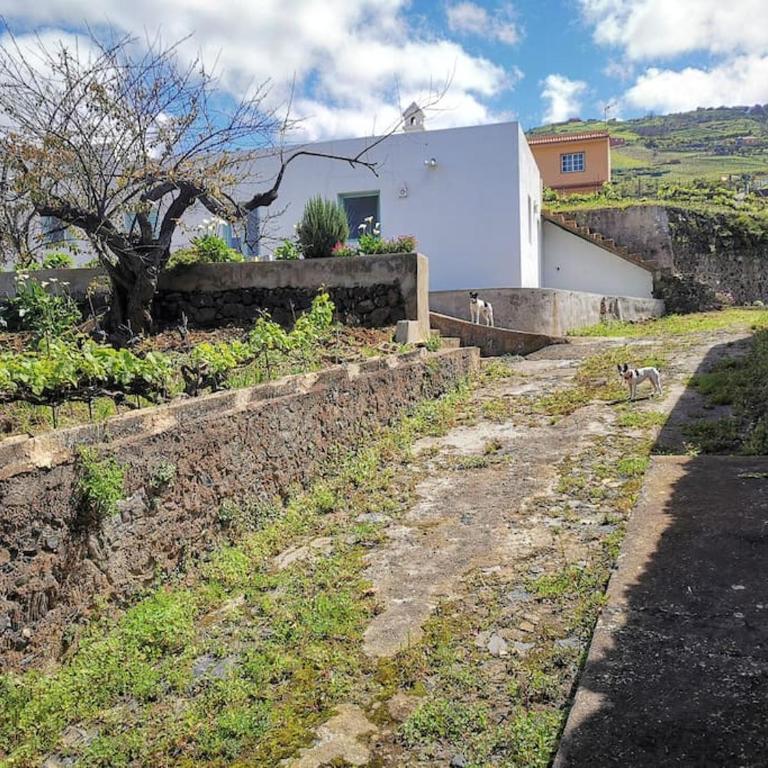 Casa entre viñedos - Casa con 1 dormitorio - 24
