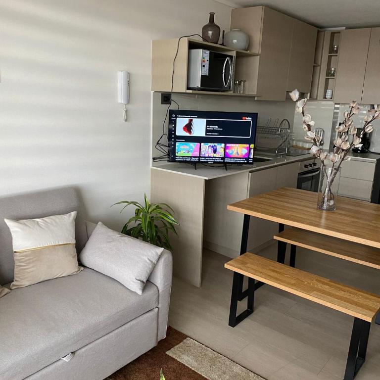 Hermoso y moderno departamento, nuevo, a pasos de la Quinta Vergara, cercano a los mejores atractivos de viña del mar, con maravillosa vista - Apartamento de 1 dormitorio - 22