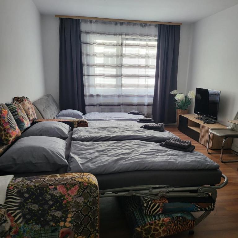 Maria - Quadruple Room - 3