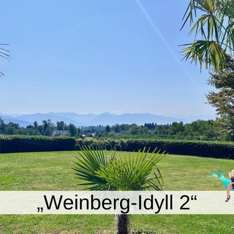 Ferienwohnung Weinberg Idyll 2 - Panoramablick zum Bodensee - Apartment mit Seeblick - 1