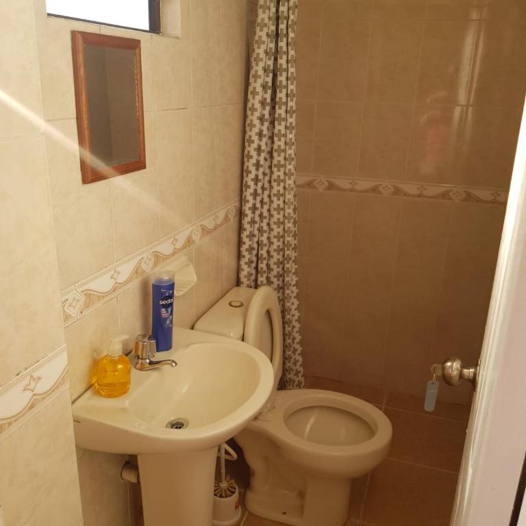 Amplio Departamento - Apartamento - 10