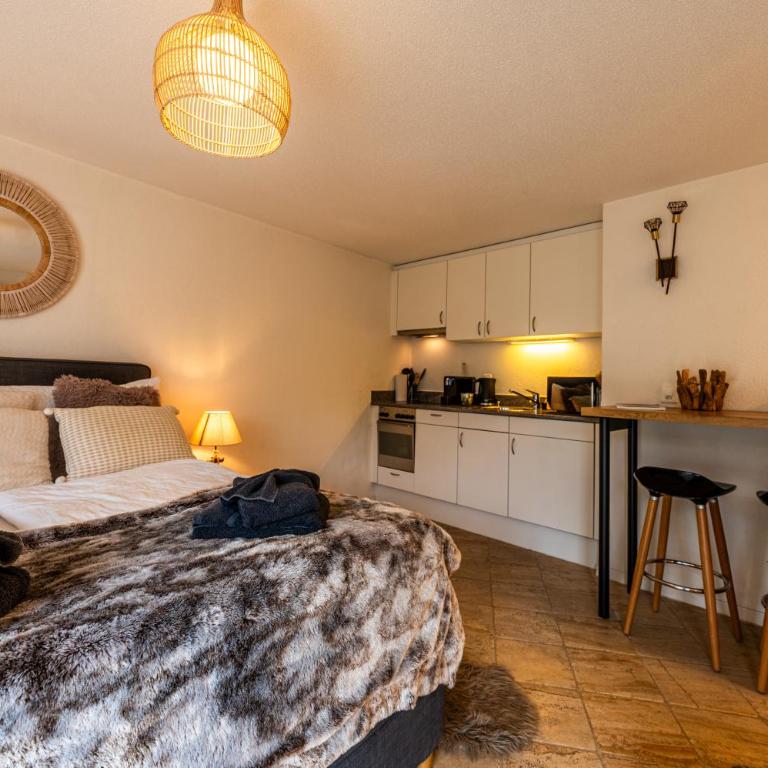 Cozy Chamia Studio - One-Bedroom Apartment - 9