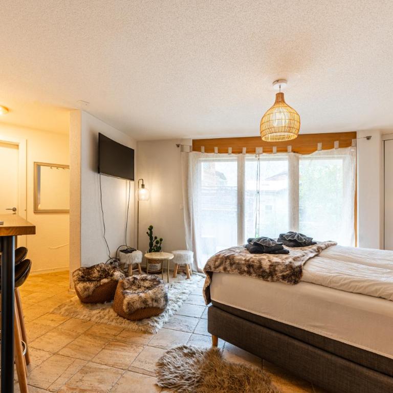 Cozy Chamia Studio - One-Bedroom Apartment - 10