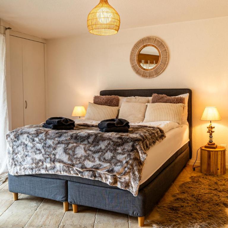 Cozy Chamia Studio - One-Bedroom Apartment - 11