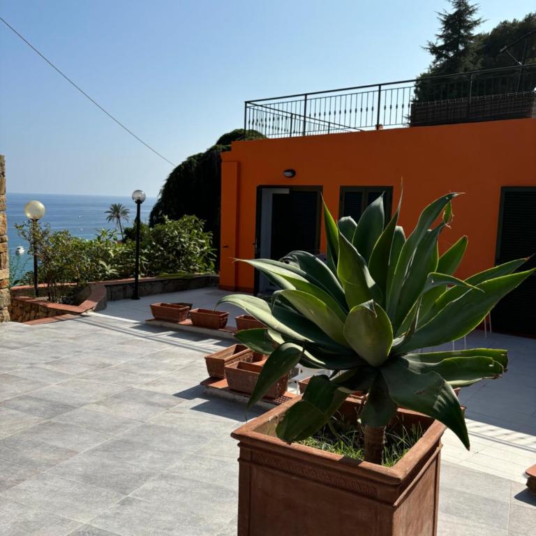 Il giardino del mare - Appartamento Deluxe con 1 Camera da Letto - 14