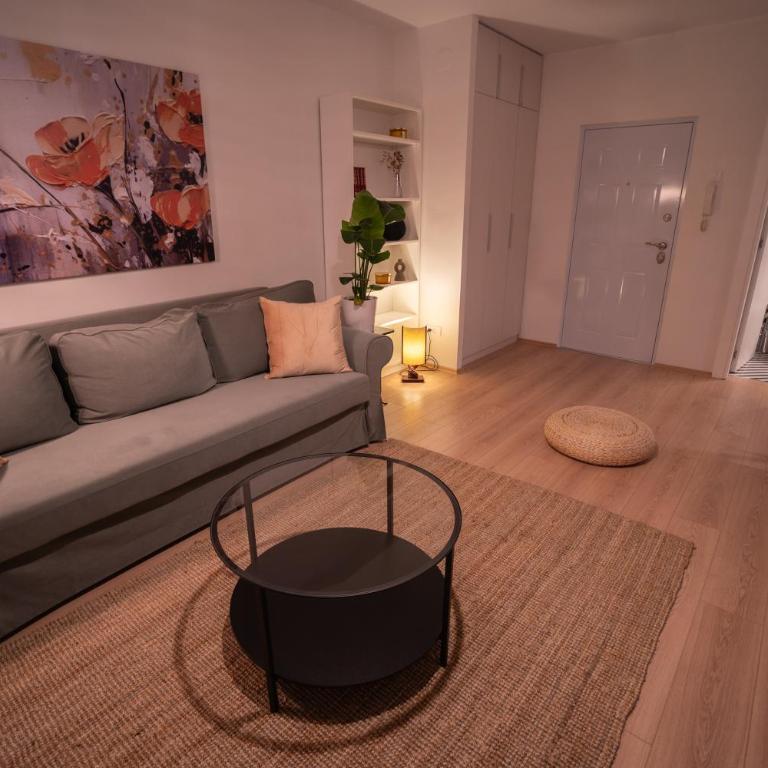 Zen na dan, Belgrade - Apartman sa 1 Spavaćom Sobom - 1