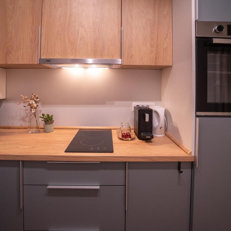 Zen na dan, Belgrade - Apartman sa 1 Spavaćom Sobom - 3