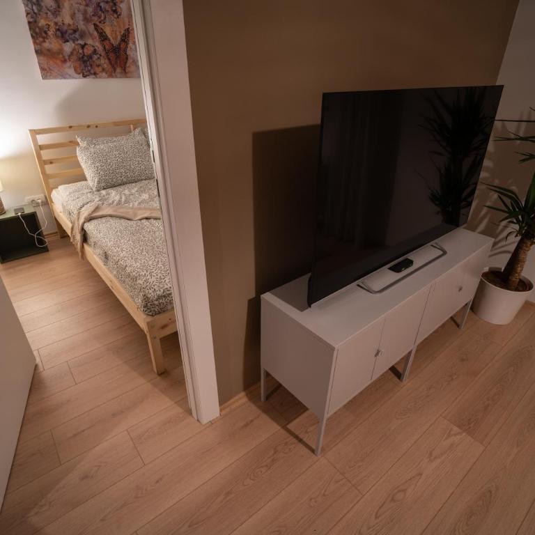 Zen na dan, Belgrade - Apartman sa 1 Spavaćom Sobom - 8