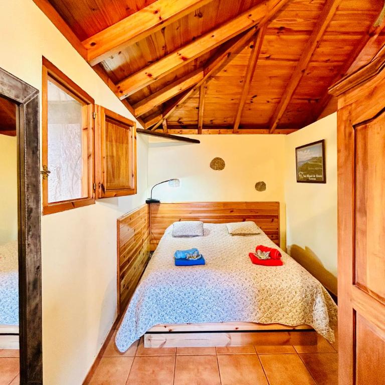 Finca Tenerife - Traumblick, tropischer Garten, viel Platz & Ruhe - One-Bedroom House - 9