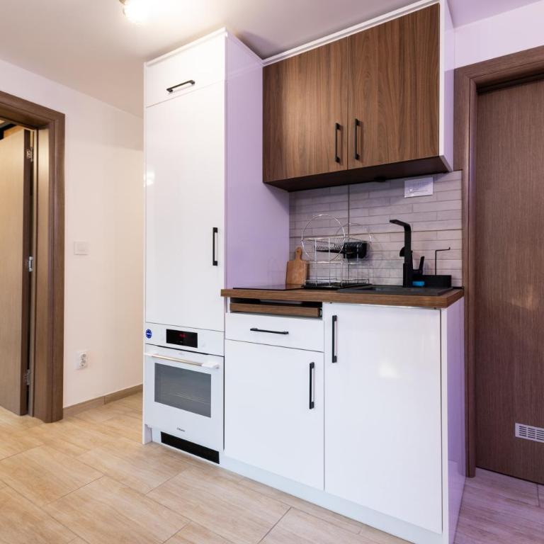 BGD 3 apartman - Apartman sa 1 Spavaćom Sobom - 7
