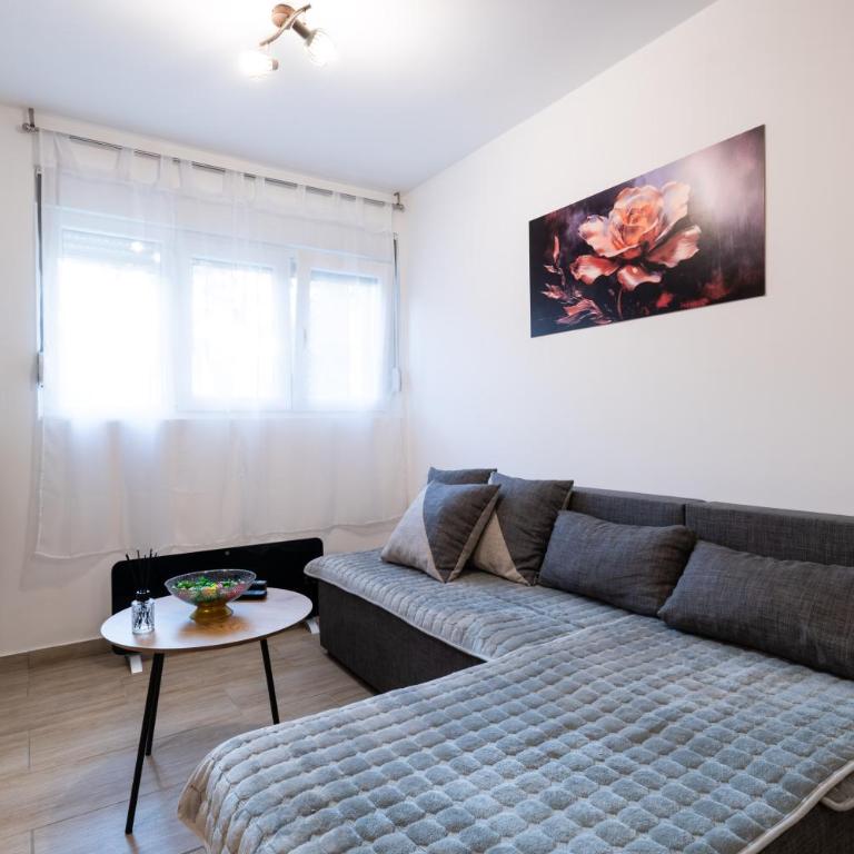 BGD 3 apartman - Apartman sa 1 Spavaćom Sobom - 8