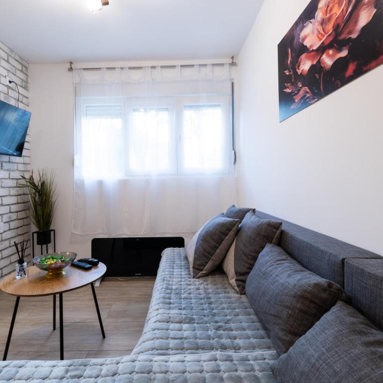 BGD 3 apartman - Apartman sa 1 Spavaćom Sobom - 9