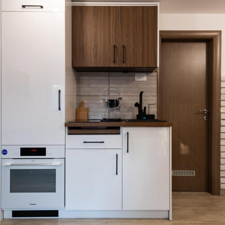 BGD 3 apartman - Apartman sa 1 Spavaćom Sobom - 10