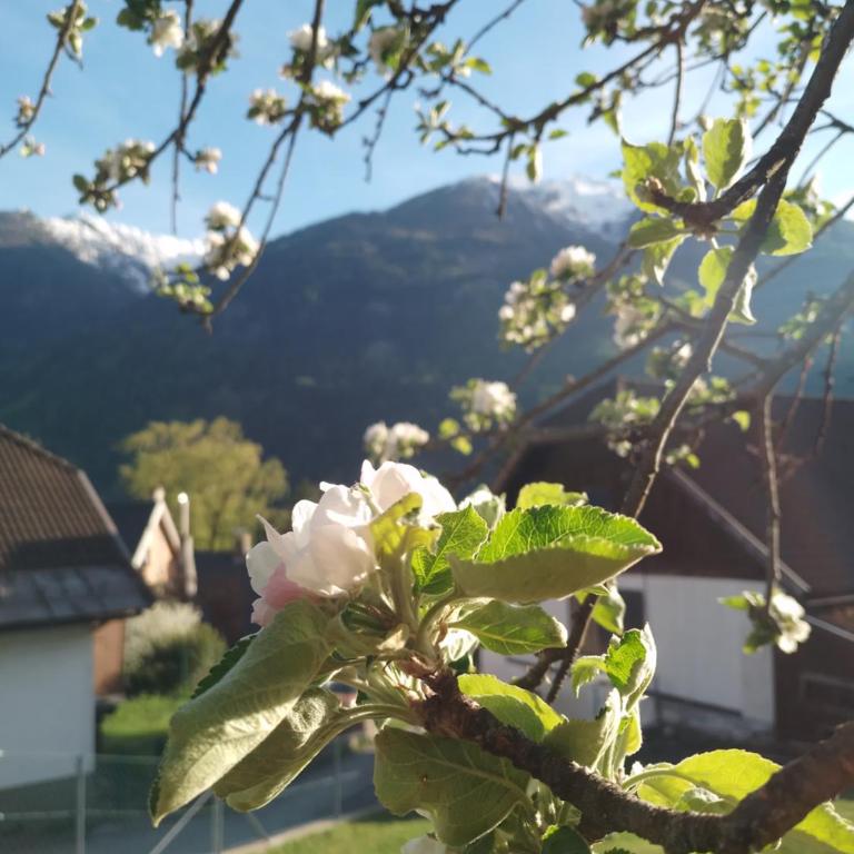 Ferienhaus Herrenschmiede - Haus mit 2 Schlafzimmern - 58