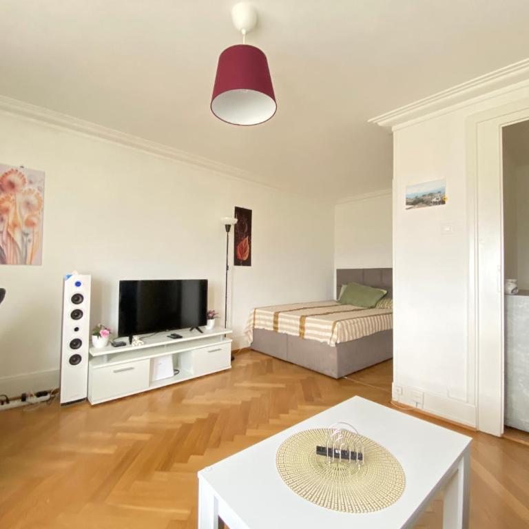Studio charmant centré à Lausanne - Appartamento con 1 Camera da Letto - 3