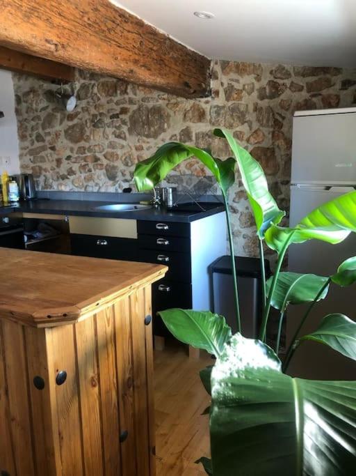 Le Loft Cosy - Centre ville - Cadre Royal - Apartamento de 1 dormitorio - 25