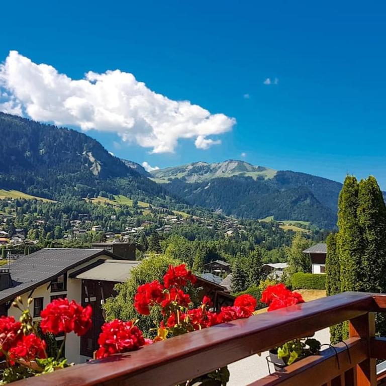 Exceptional view of village and mountain - Appartement 1 Chambre - 1
