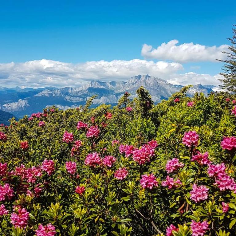 Exceptional view of village and mountain - Appartement 1 Chambre - 24