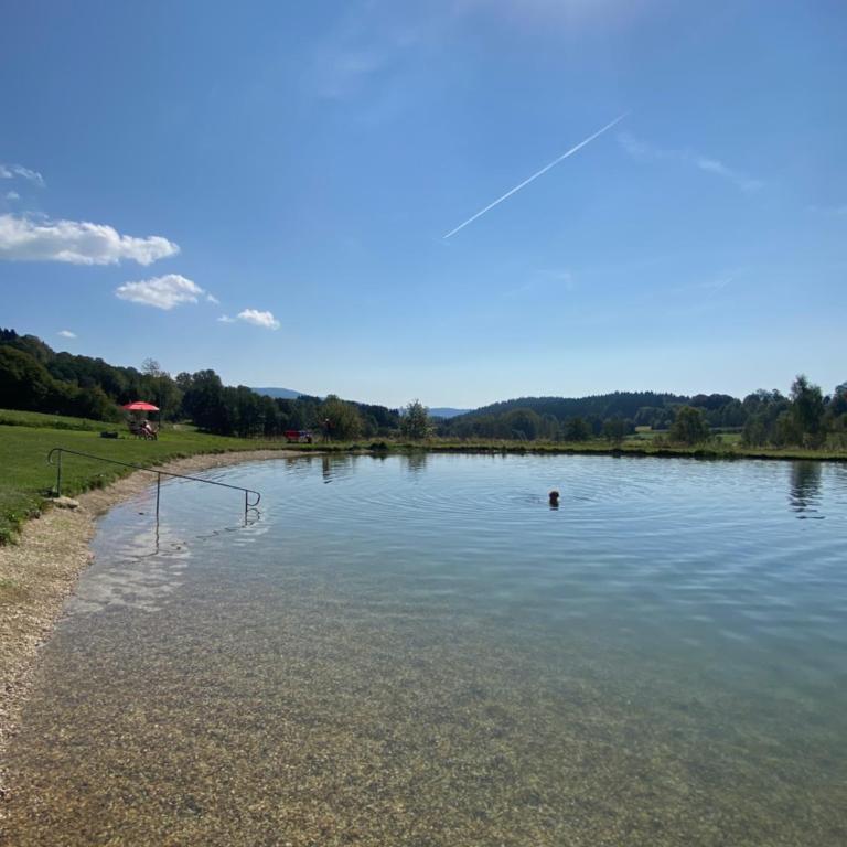 Apartment JO in Bayerische Wald, Sankt Englmar - Apartment mit 1 Schlafzimmer - 21