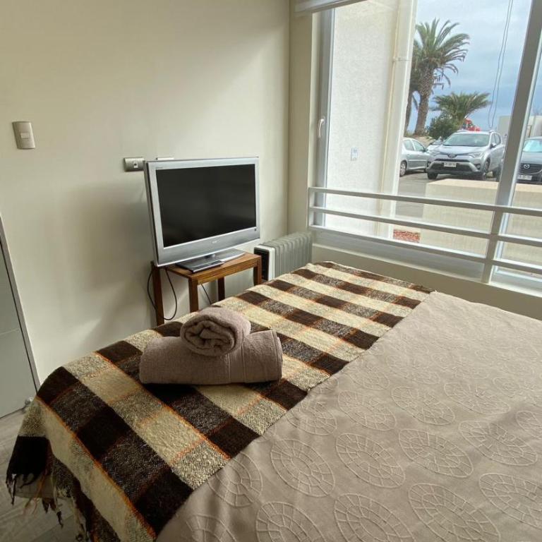 Hermoso departamento en Av Pacifico - La Serena - Two-Bedroom Apartment - 6