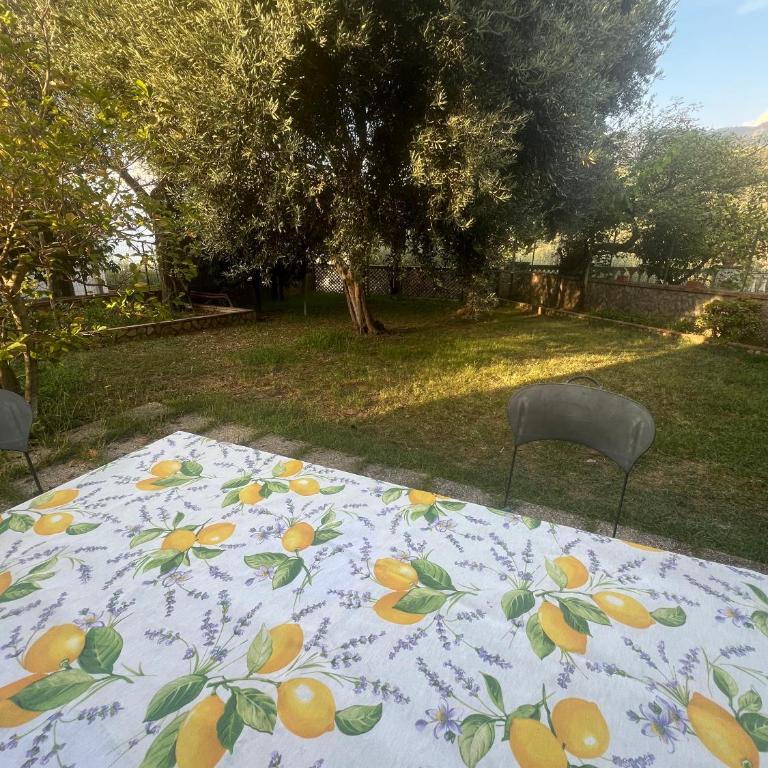 Le Gemelle - Appartamento - 15