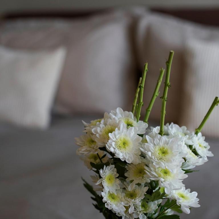 Venere B&B - Deluxe Double or Twin Room - 7