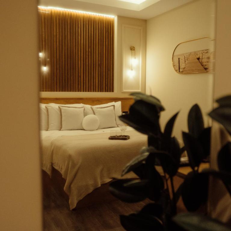 Jules & Laurent Hotel Contemporaneo - Habitación Deluxe - 1 cama grande - 21